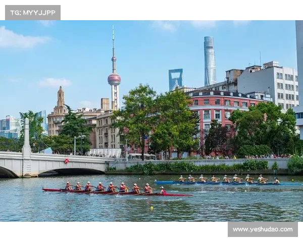 2014上海体育赛事,2014年体育赛事