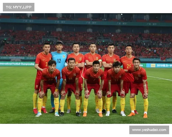 2018年威尔士对中国 2018年威尔士对中国