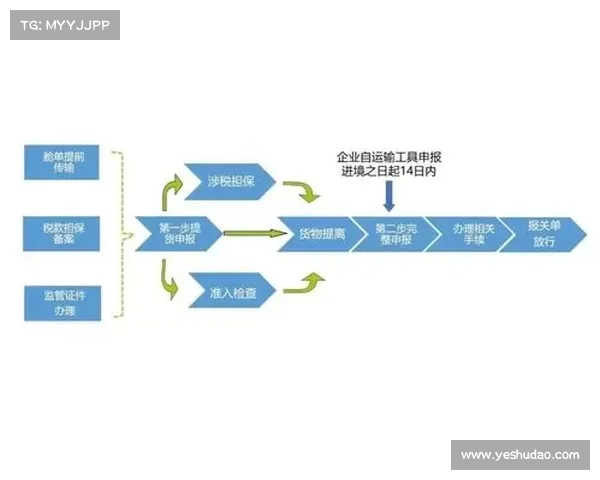 体育赛事申报流程