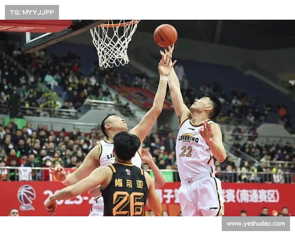 各种篮球赛事有哪些篮球赛事