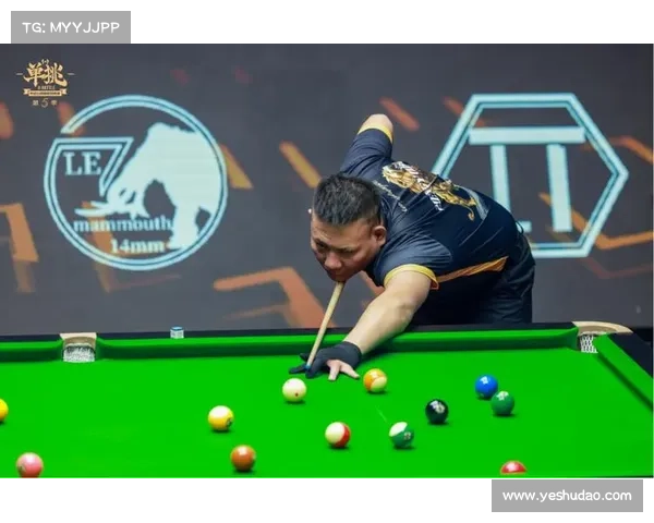 德国乒乓球联赛2024赛季巅峰对决激情上演精彩纷呈