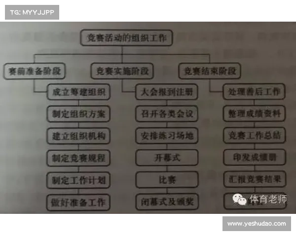 赛事 组织架构—赛事组织架构 赛事 组织架构—赛事组织架构