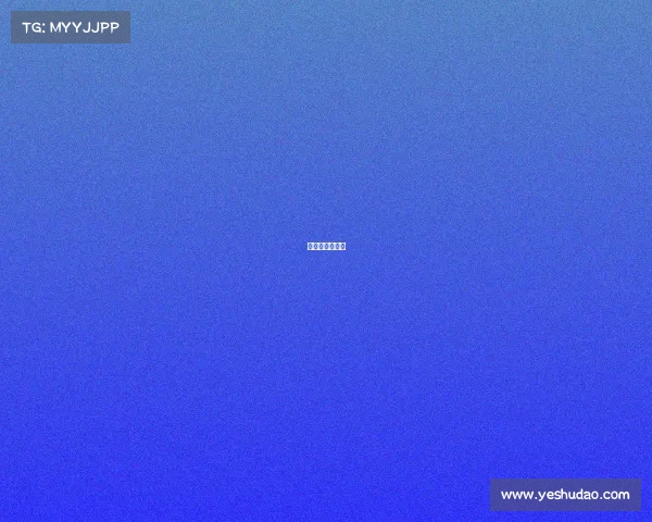 世冠赛场在哪里