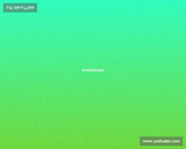 第8区电子竞技—8项电子竞技